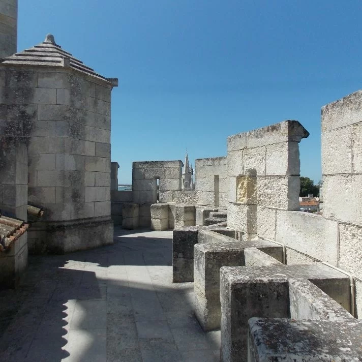 Maquette Tour De La Rochelle - Échelle 1/220 - 5800 Pièces - 63x23x27 Cm - Aedes